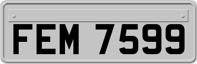 FEM7599