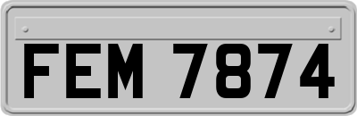 FEM7874