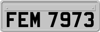 FEM7973