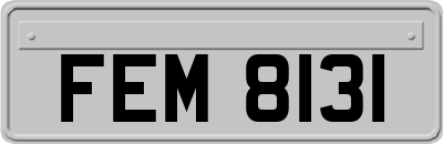 FEM8131