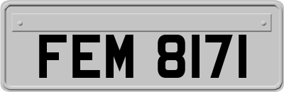FEM8171