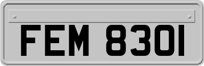 FEM8301