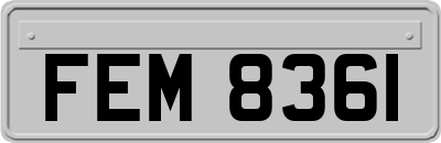 FEM8361