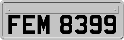 FEM8399
