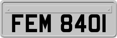 FEM8401
