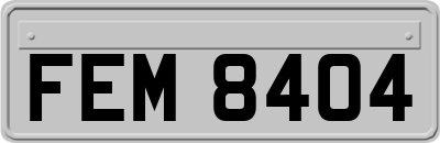 FEM8404