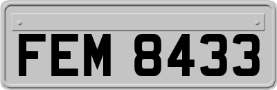 FEM8433