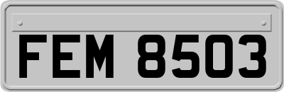 FEM8503
