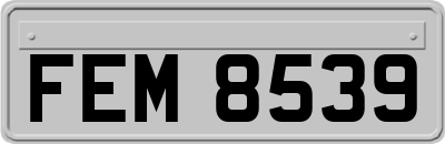 FEM8539