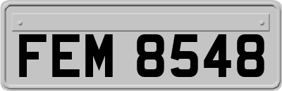 FEM8548