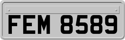 FEM8589