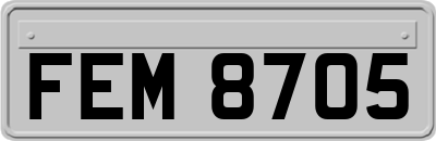 FEM8705
