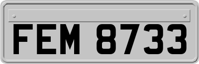 FEM8733