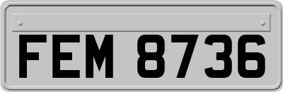 FEM8736