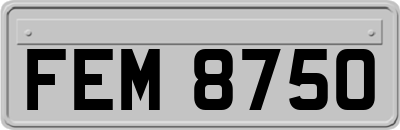 FEM8750
