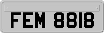 FEM8818
