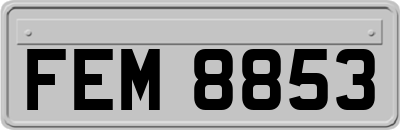 FEM8853