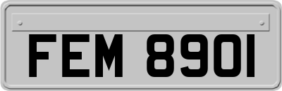 FEM8901