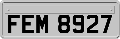 FEM8927