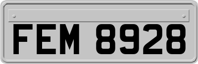 FEM8928