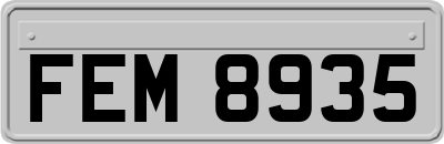 FEM8935