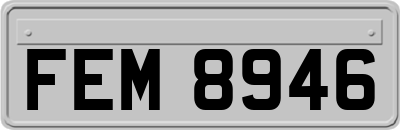 FEM8946