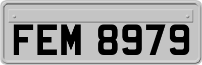 FEM8979
