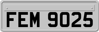 FEM9025