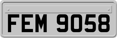 FEM9058