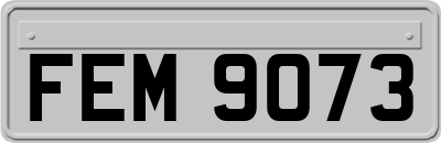 FEM9073