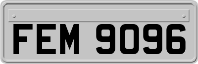 FEM9096
