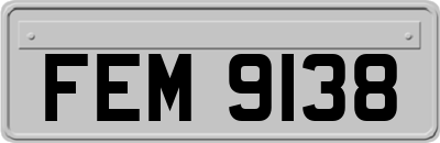 FEM9138
