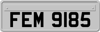 FEM9185