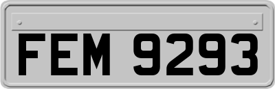 FEM9293