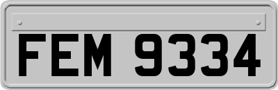 FEM9334
