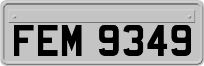 FEM9349