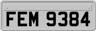 FEM9384