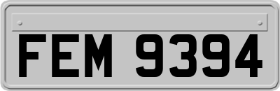 FEM9394