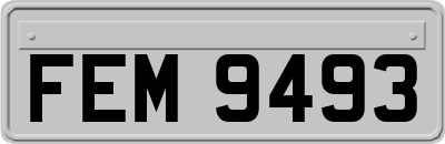 FEM9493