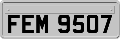 FEM9507