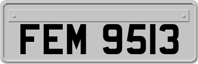 FEM9513