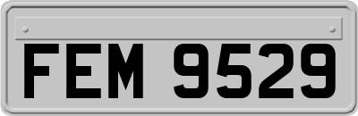 FEM9529