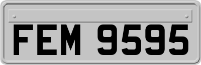 FEM9595