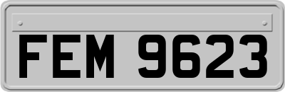 FEM9623
