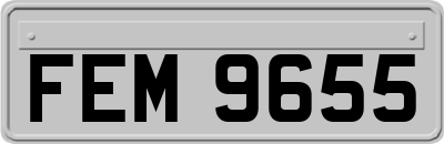 FEM9655