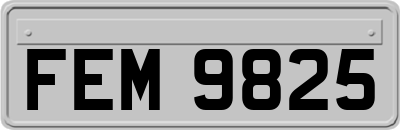 FEM9825