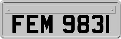 FEM9831