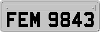 FEM9843