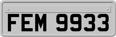 FEM9933