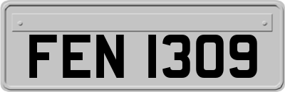 FEN1309